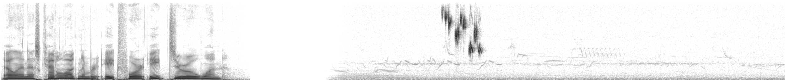 Chingolo de Henslow - ML84801