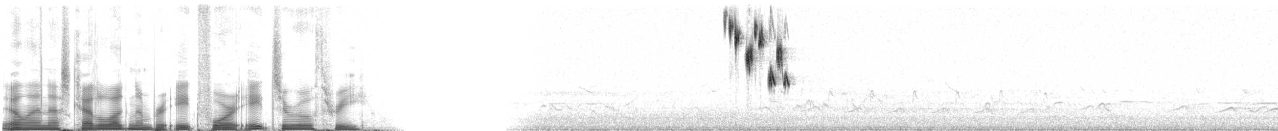 Chingolo de Henslow - ML84803