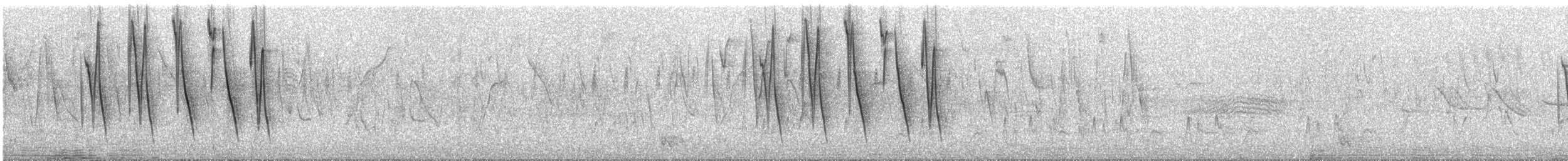 Cinnamon Warbling Finch - ML84809531