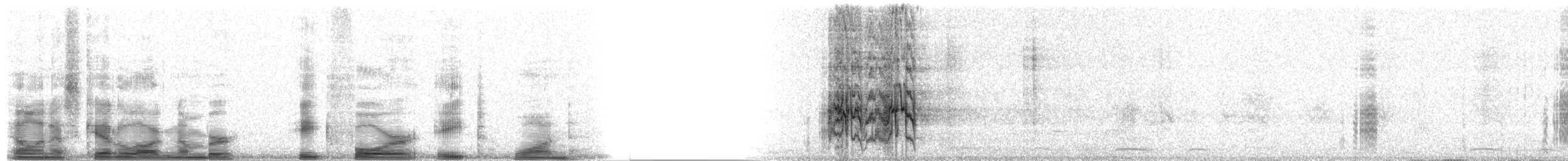 Orange-fronted Parakeet - ML8481