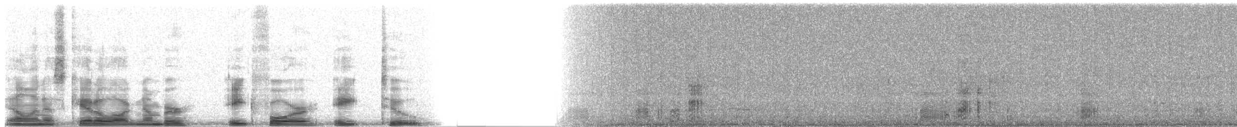 Orange-fronted Parakeet - ML8482