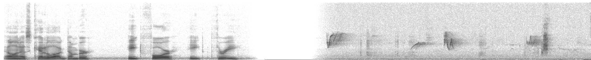 Orange-fronted Parakeet - ML8483