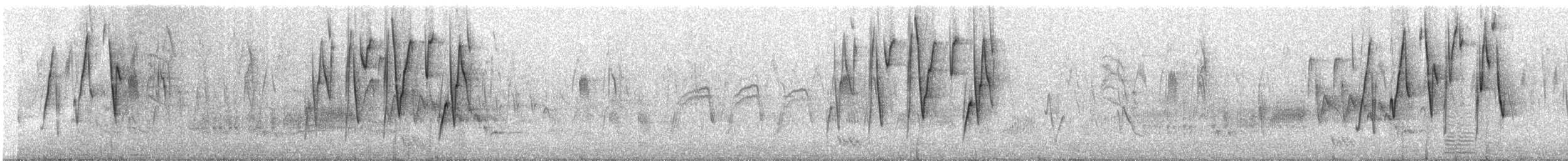 Cinnamon Warbling Finch - ML84832371