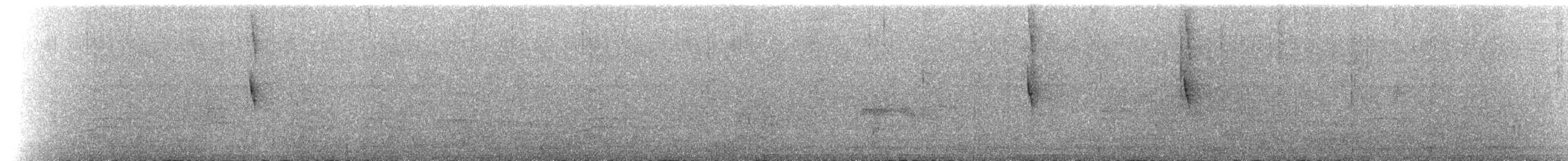 Колібрі-кокетка плямистовусий - ML84878741