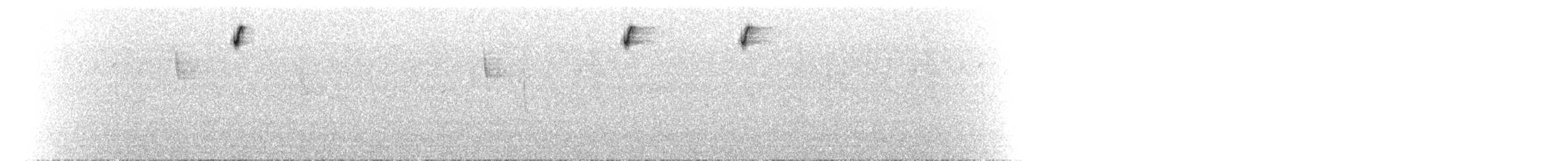 Gray-bellied Comet - ML84878941