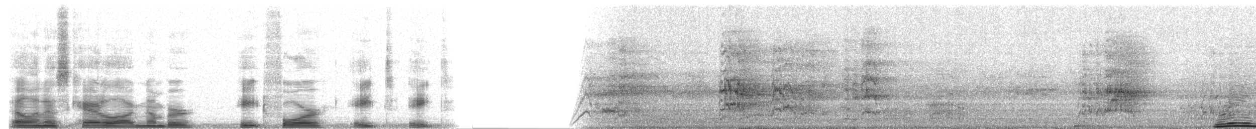 Green Parakeet (Green) - ML8488