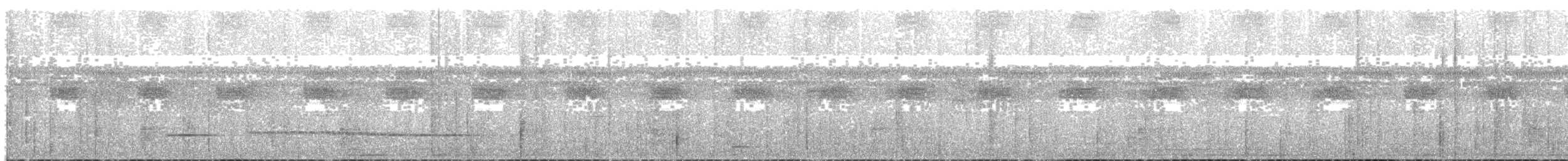 Graubrust-Ameisendrossel - ML84885721