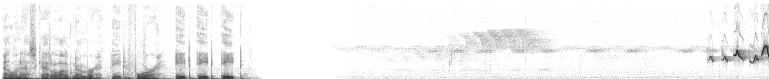 Hooded Warbler - ML84888