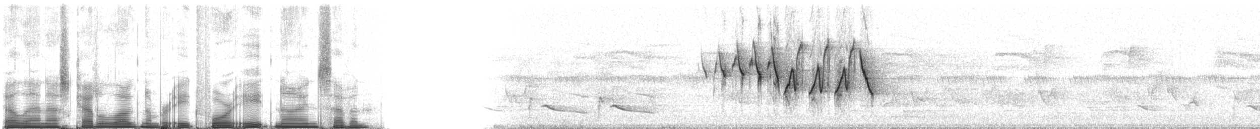 Mourning Warbler - ML84897