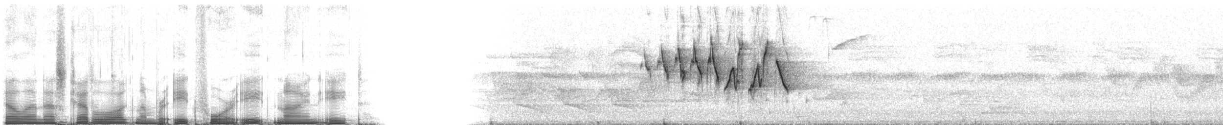 Mourning Warbler - ML84898