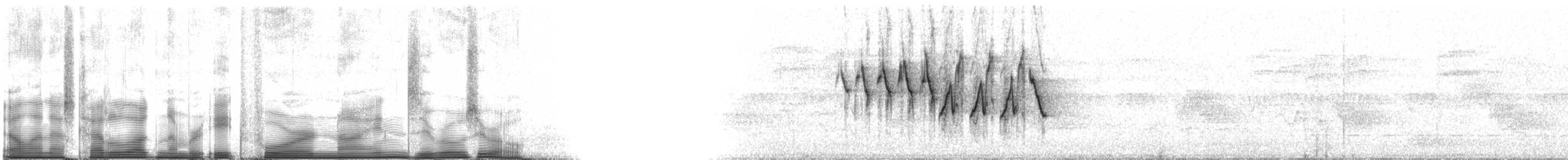 Mourning Warbler - ML84900