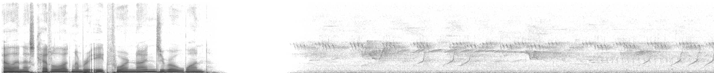 Mourning Warbler - ML84901