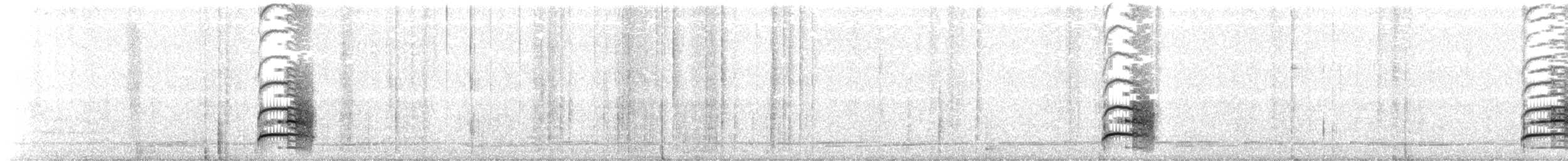 Wechselameisenwürger - ML84902141