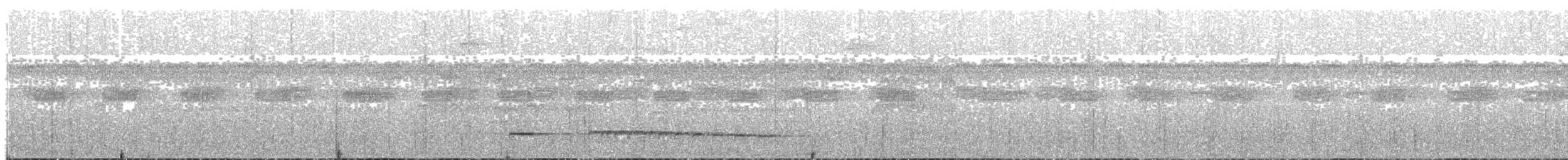 Graubrust-Ameisendrossel - ML84906161