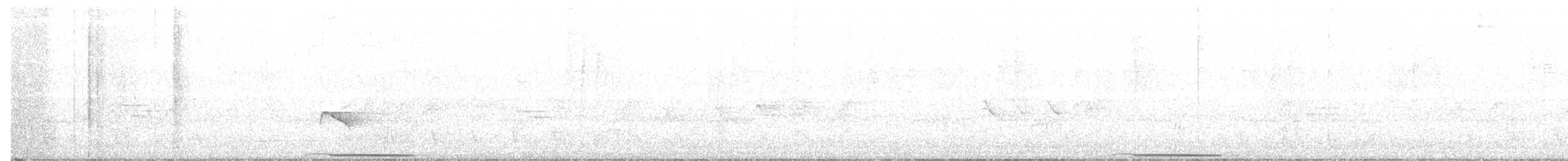 Lined Quail-Dove - ML84907811