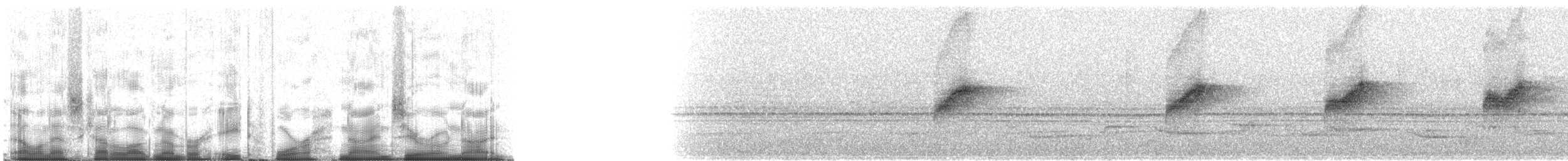 Желтоватый мухоед (sulphurescens) - ML84909