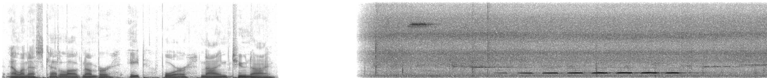 brunryggmaurpitta - ML84929