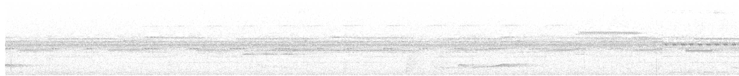 Seidennachtschwalbe - ML84960731