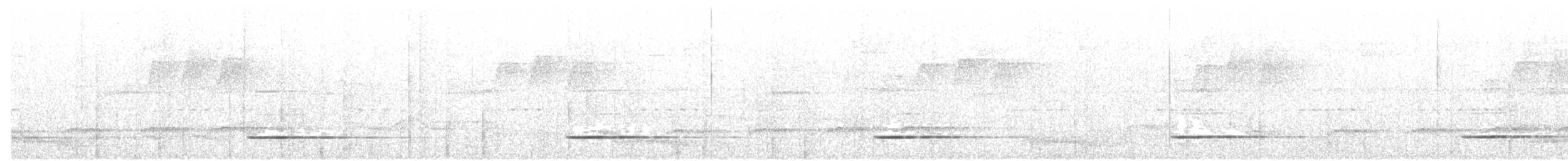 Tinamou cendré - ML84961321