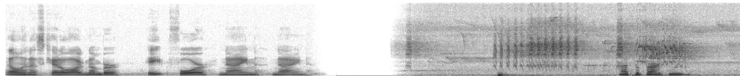 Orange-chinned Parakeet - ML8499