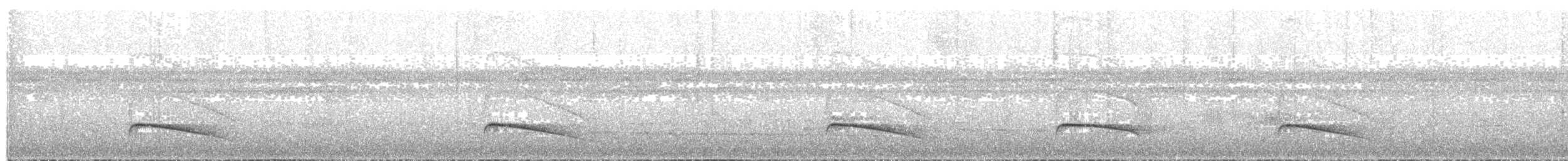 Тиран-плоскодзьоб темнохвостий - ML85006121