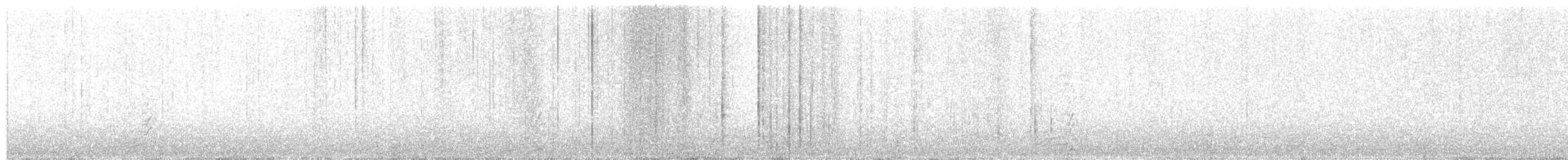 Branta lepagorria - ML85012701