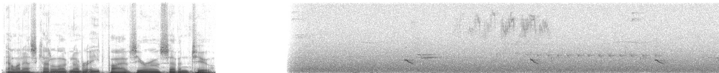 Yeşil Sırtlı Tırmaşık - ML85072