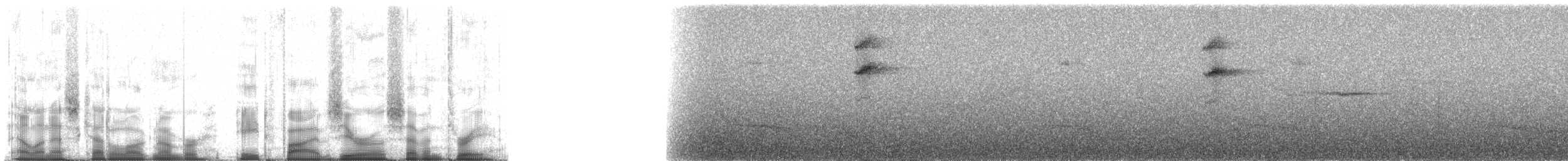 Kara Kulaklı Hemispingus [melanotis grubu] - ML85073