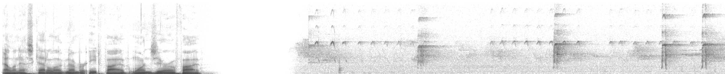 Sert Tüylü Ağaçkakan [villosus grubu] - ML85105