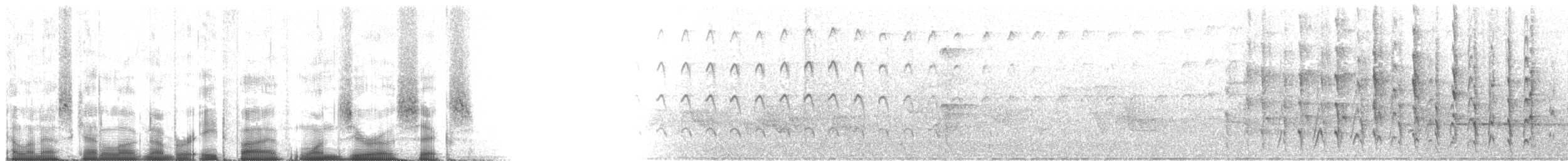 Sert Tüylü Ağaçkakan [villosus grubu] - ML85106
