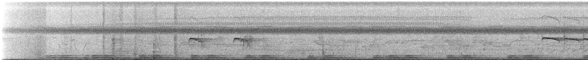 Тиранчик-тонкодзьоб північний - ML85132941