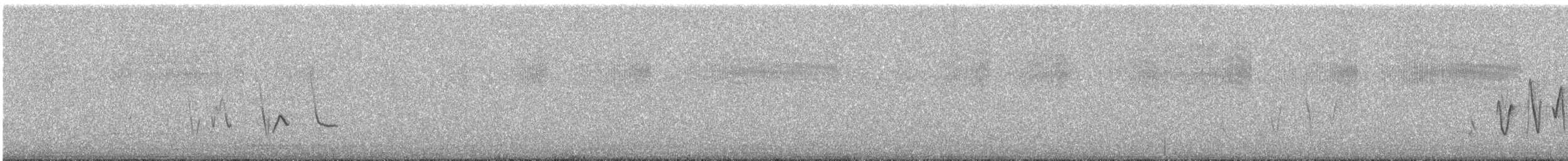 Diuca gris - ML85155391