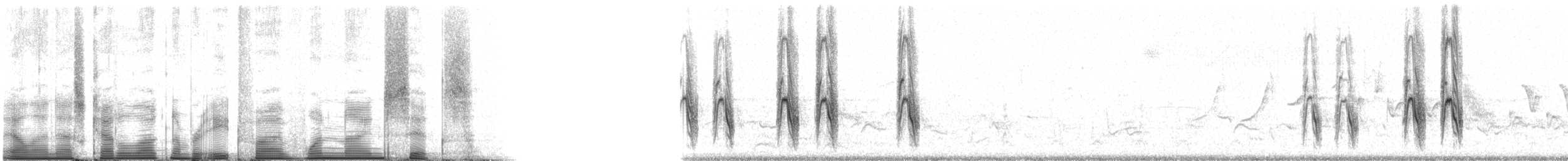 Gartenspottdrossel - ML85196