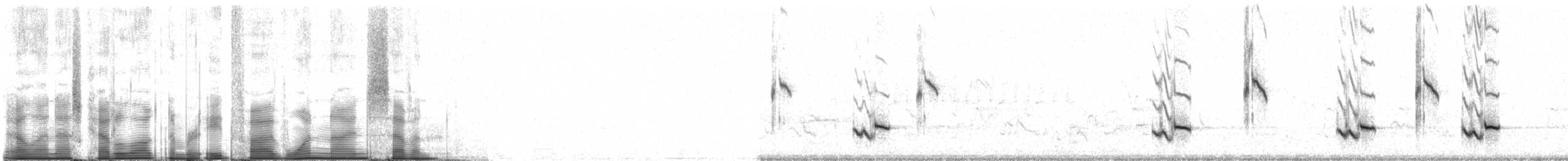 Gartenspottdrossel - ML85197