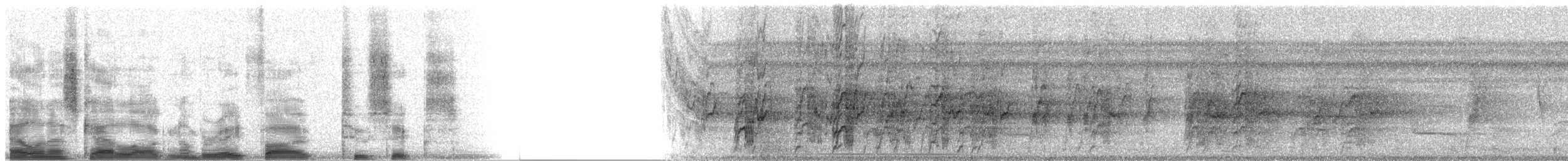 Blue-headed Parrot (Blue-headed) - ML8526