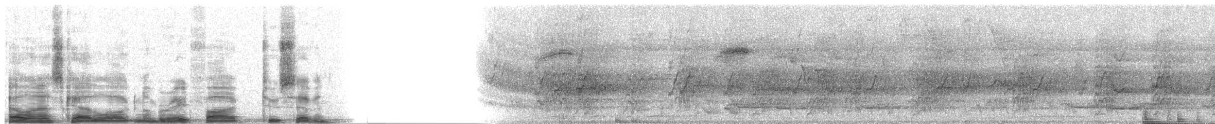 Blue-headed Parrot (Blue-headed) - ML8527