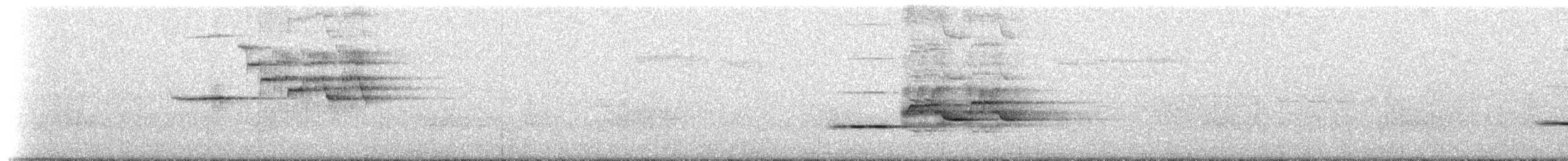Einsiedler-Musendrossel (faxoni/crymophilus) - ML85286161