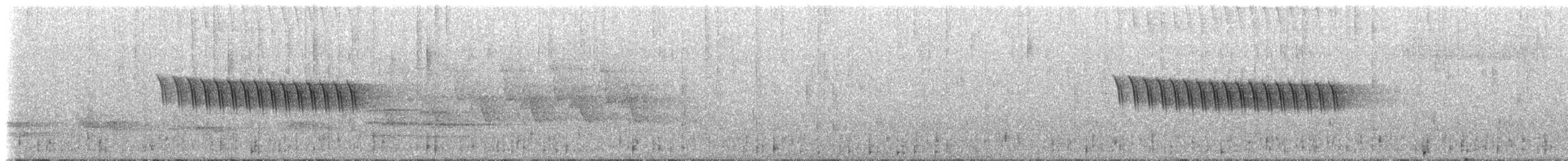 Kara Gözlü Junko (hyemalis/carolinensis) - ML85286591