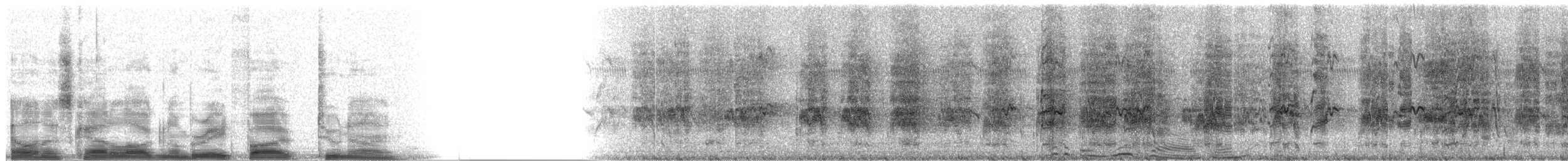 White-crowned Parrot - ML8529