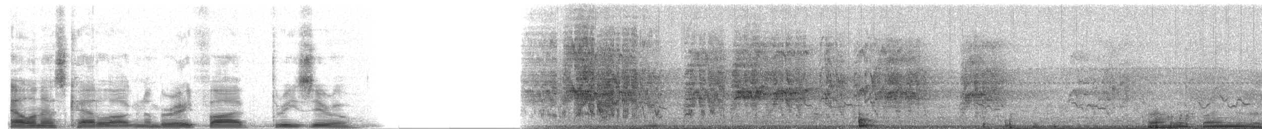 White-crowned Parrot - ML8530