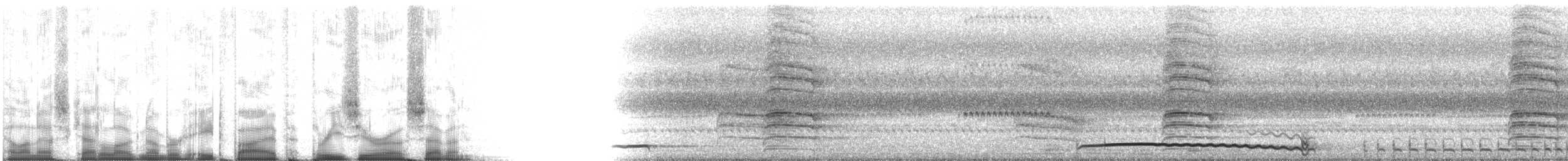 Ostkreischeule [asio-Gruppe] - ML85307