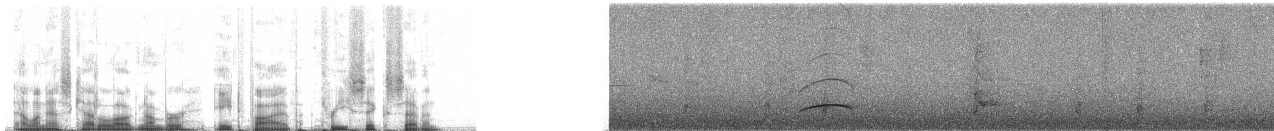 Smoke-colored Pewee - ML85367