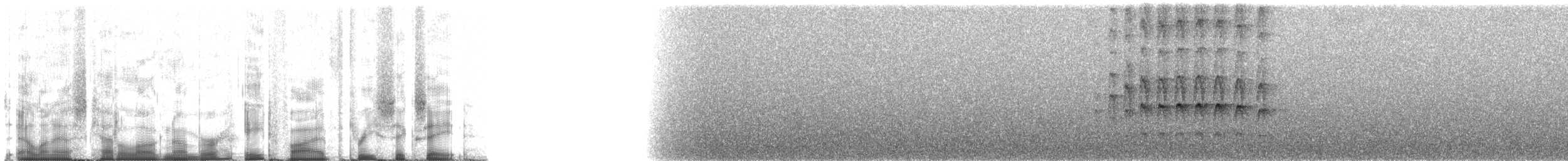 Striped Treehunter - ML85368