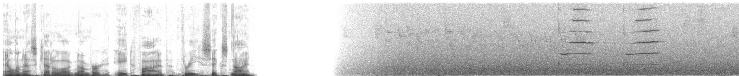 Green Jay (Inca) - ML85369