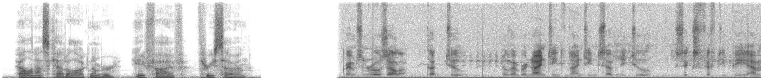 Crimson Rosella (Crimson) - ML8537