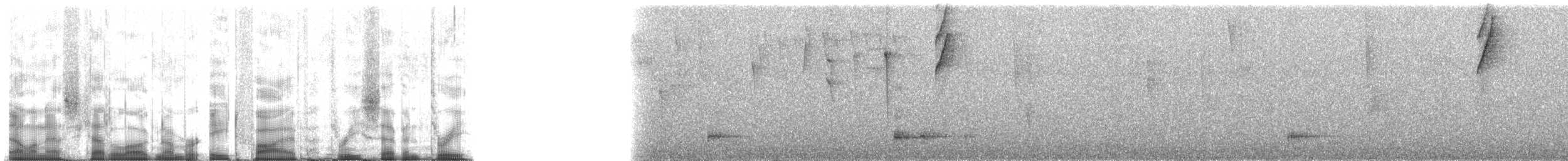 Paradise Tanager - ML85373