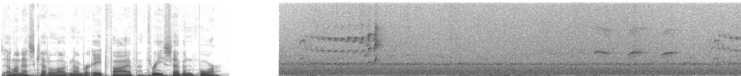 White-throated Spadebill (Western) - ML85374