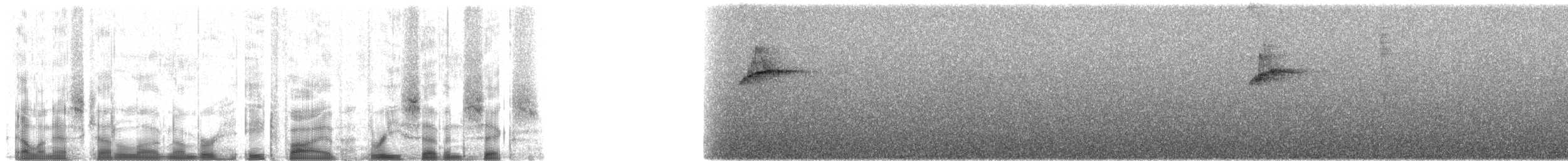 Andean Solitaire (ralloides) - ML85376