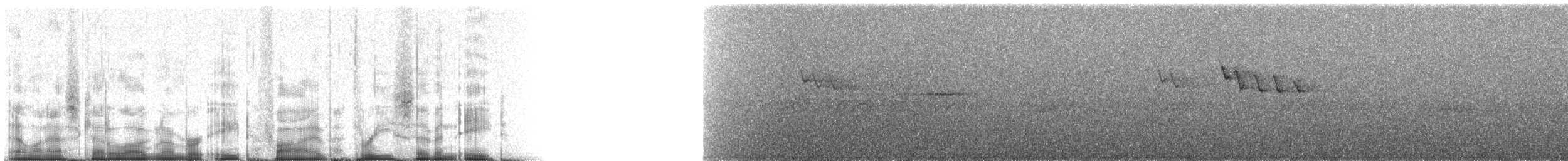 White-winged Tanager - ML85378