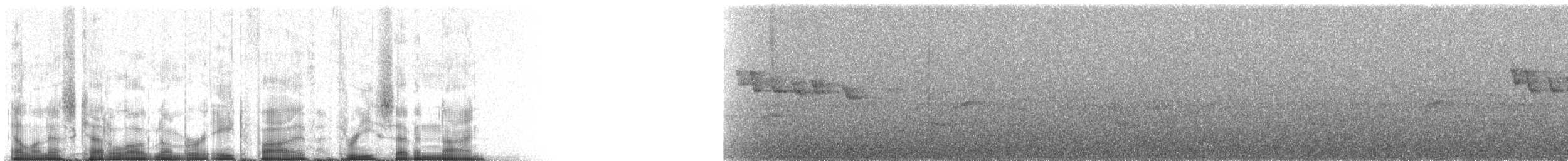 White-winged Tanager - ML85379